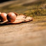 SEO tips for small businesses in Kitchener-Waterloo